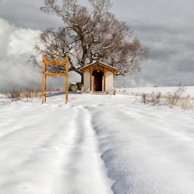 Зимни ФОТО разходки