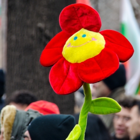 Цветето на протеста