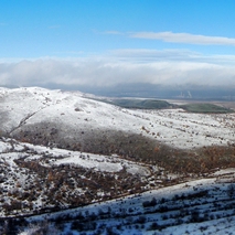 голо бърдо панорама