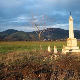 Паметника край с.Шейново