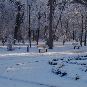 Зимно-паркова гледка