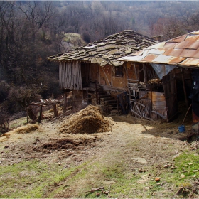 Картина от село