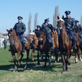 Тодоровден 2013/София, кв.Бенковски/ - 5