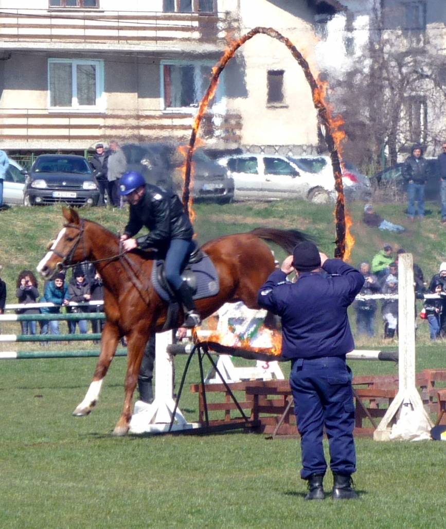 Тодоровден 2013/София, кв.Бенковски/ - 11