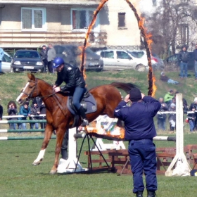 Тодоровден 2013/София, кв.Бенковски/ - 11