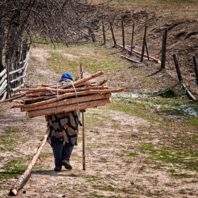 Живот...в Родопите