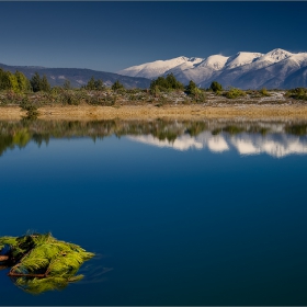 Водно борче