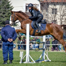 Хладнокръвно