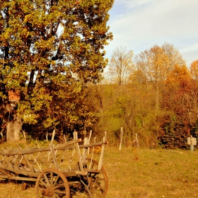 При стария дъб