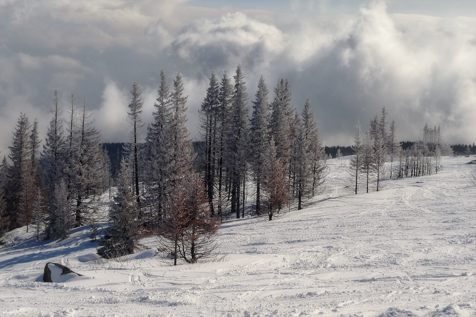 Зимни SKI разходки