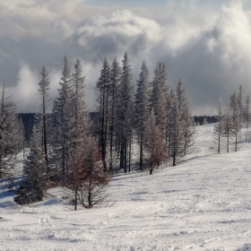 Зимни SKI разходки