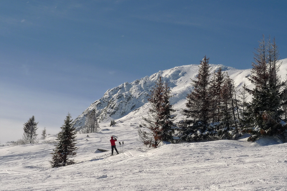 Зимни SKI разходки