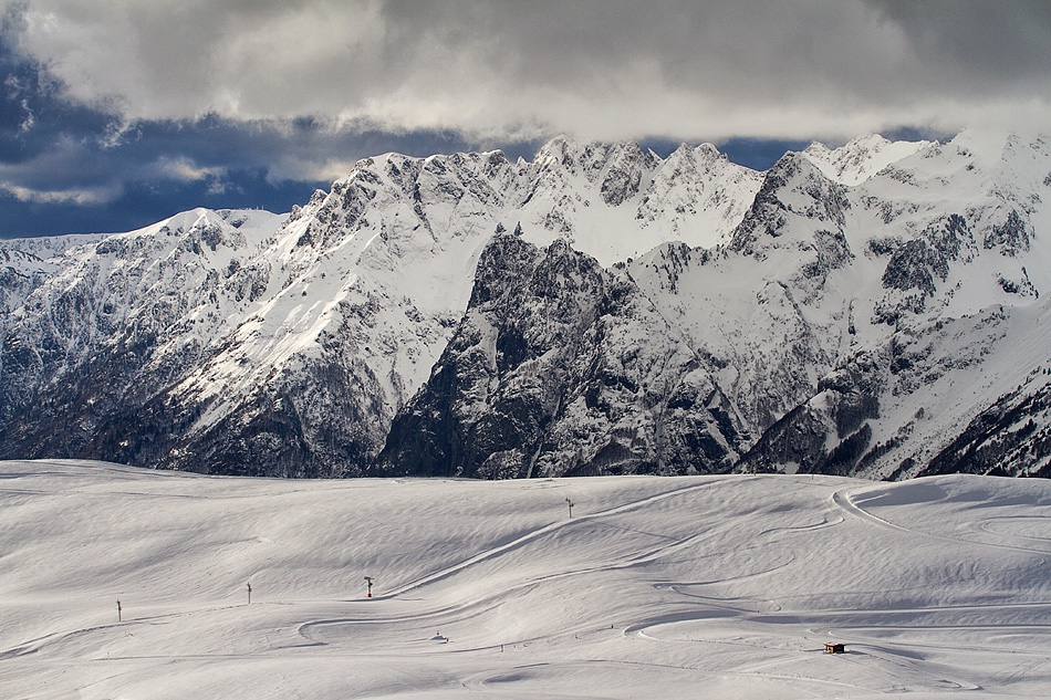 ALPS