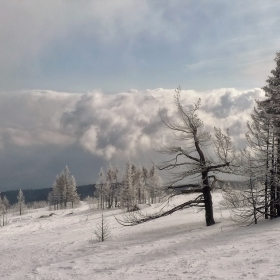 Витошки ФОТО разходки