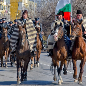 Два жребеца и една кобилка