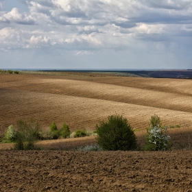 Развълнувано поле