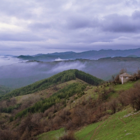 Rhodopes