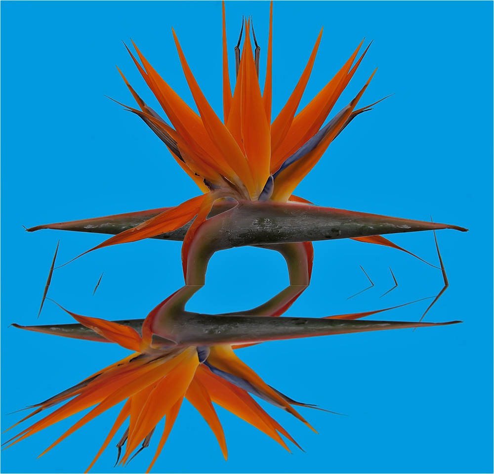 Везни
