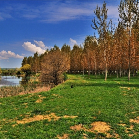 Край реката редят се...