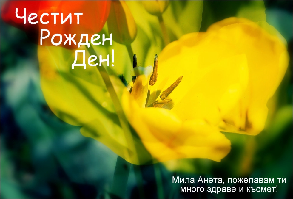 Честит юбилей, Ани! /An_Dji/