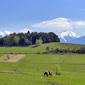 Като в Швейцария