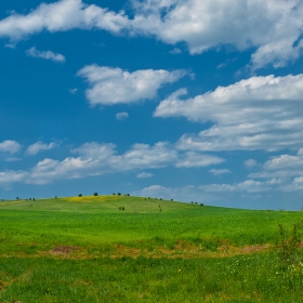 Прозорци