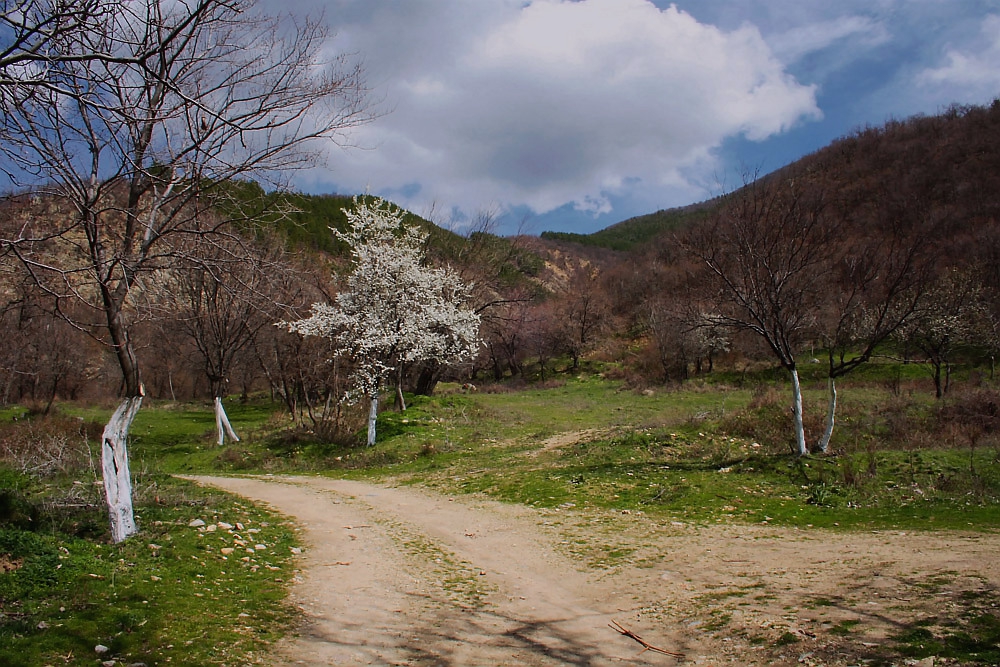 Пролет в планината