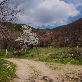 Пролет в планината