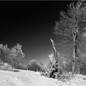 Зима в Стара планина - местност Узана (Любимецът на гръмотевиците)