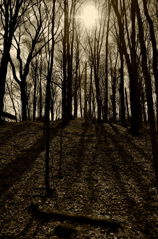 Shadows of the sun