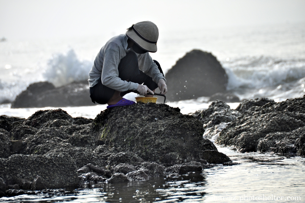 Oyster Girl