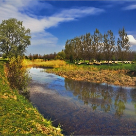 Край реката