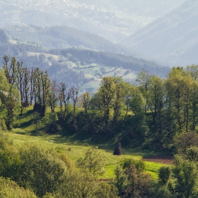 Родопски ФОТО разходки