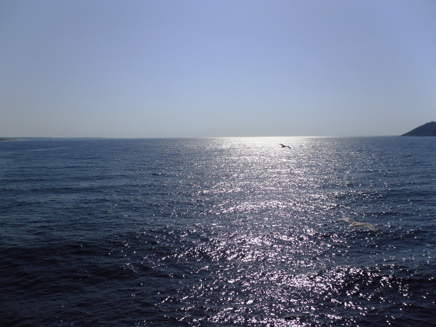 sun
