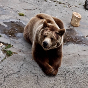 Снимка без име