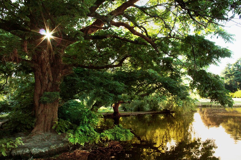 Tranquility