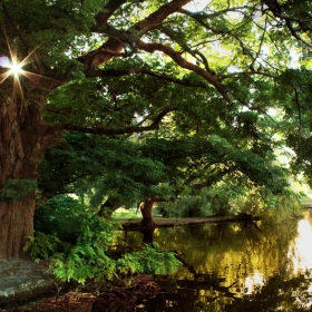 Tranquility