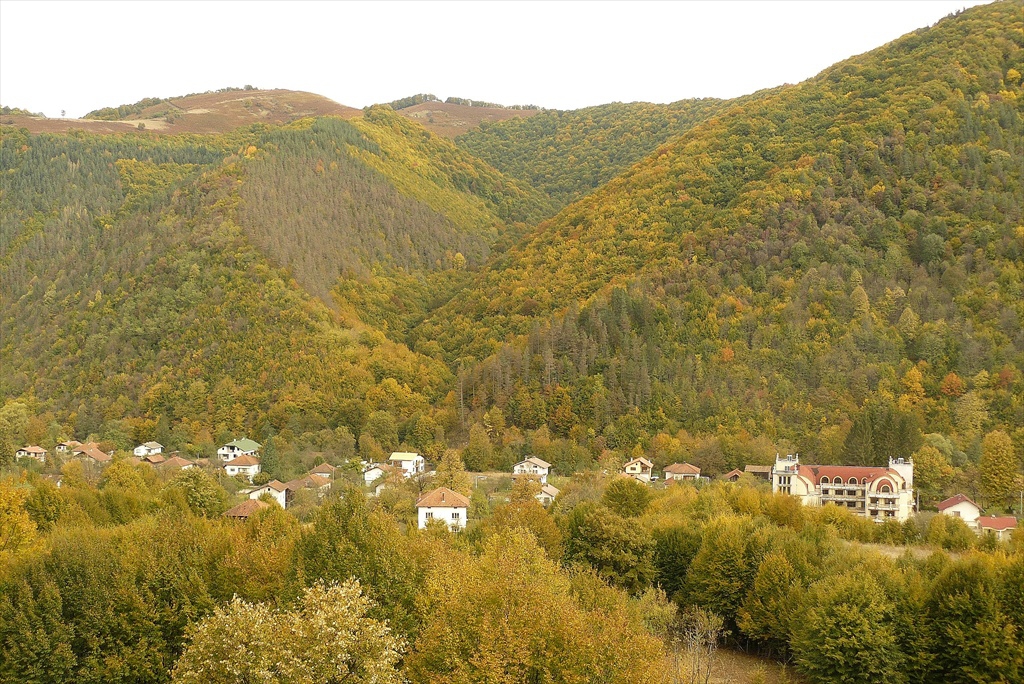 Рибарица