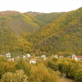 Рибарица
