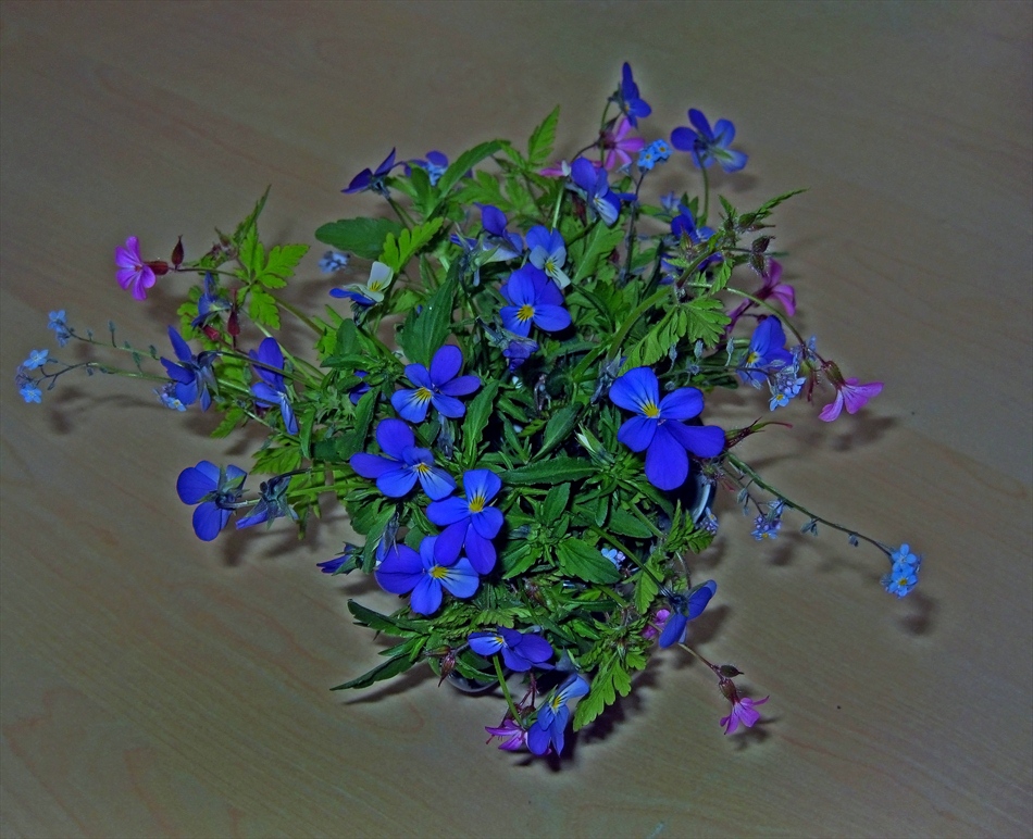 Букетче.