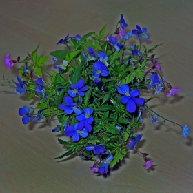 Букетче.