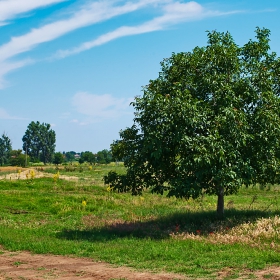 Северозападни гледки