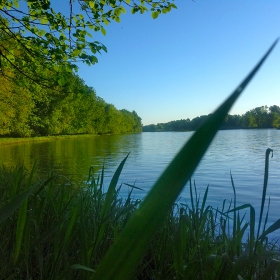 Camp Ripley, Mississippi Morning