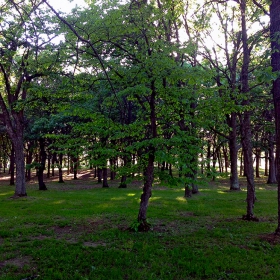 Camp Ripley, Sunset