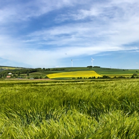 Hallgarten, Germany - панорама (опит 1-ви)