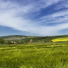 Hallgarten, Germany - панорама (опит 2-ри)