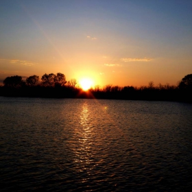 sunshine