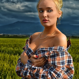 Буревестник