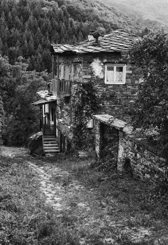 самота