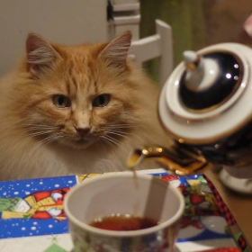 Которак